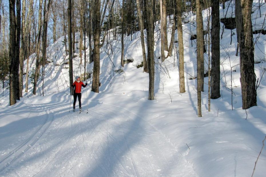 A skier in the woods at ABR.